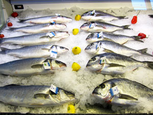 Fischpräsentation Fischpräsentation