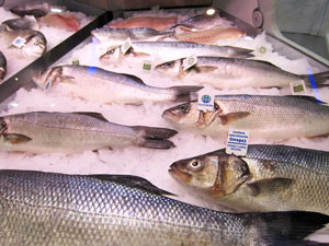 Fischpräsentation Fischpräsentation