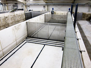 Movingbedbelüftung Movingbedbelüftung