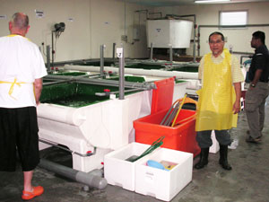 Schulung Fischproduktion Schulung Fischproduktion