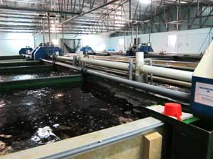 intensives Warmwasser RAS intensives Warmwasser RAS