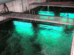 UV-Behandlung UV-Behandlung
