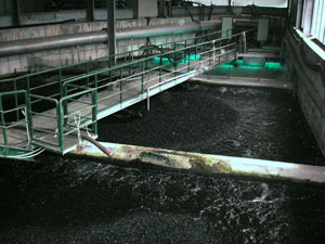 Wasseraufbereitung Wasseraufbereitung