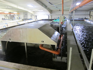 Trommelfilter Ø 2,5m Trommelfilter Ø 2,5m