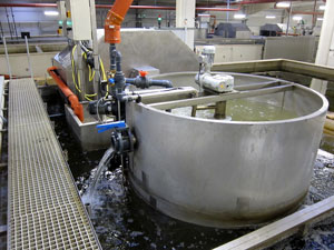 Trommelfilter Plattenseparator Denitrifikation Trommelfilter Plattenseparator Denitrifikation