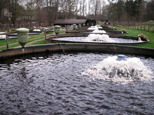 Belüftung mit Aquapilz Belüftung mit Aquapilz