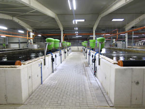 computerkontrollierte Futterautomaten computerkontrollierte Futterautomaten