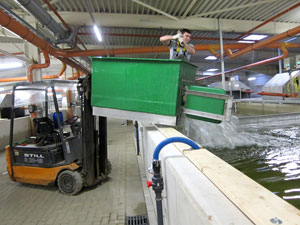 Fischtransport Fischtransport