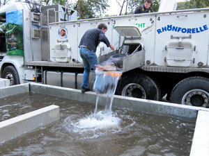 Fischbesatz Fischbesatz